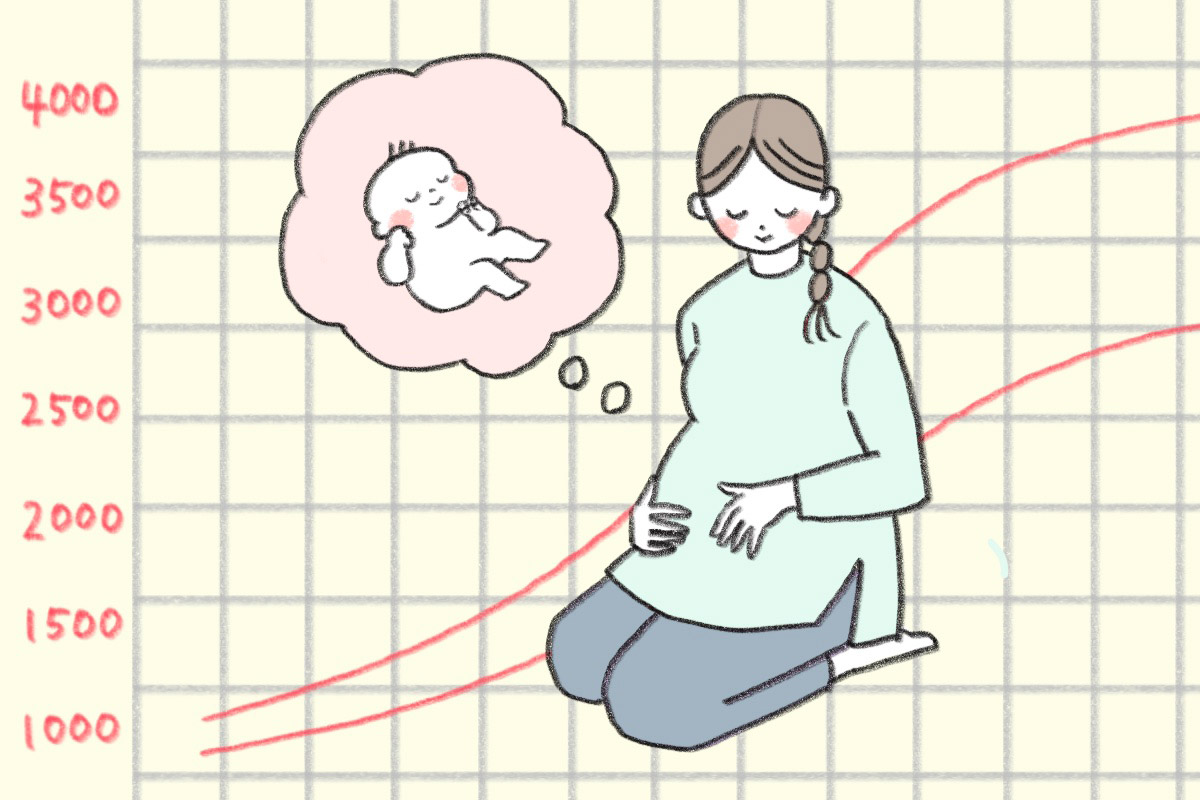【医師監修】胎児の発育曲線（成長曲線）とは？どのように見ればいいの？