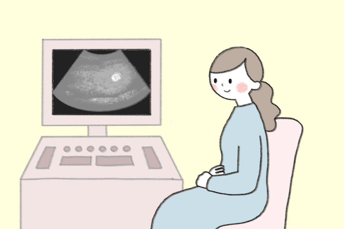 【医師監修】｢胎嚢が確認できた｣ってどういうこと？このあと妊娠はどう進むの？